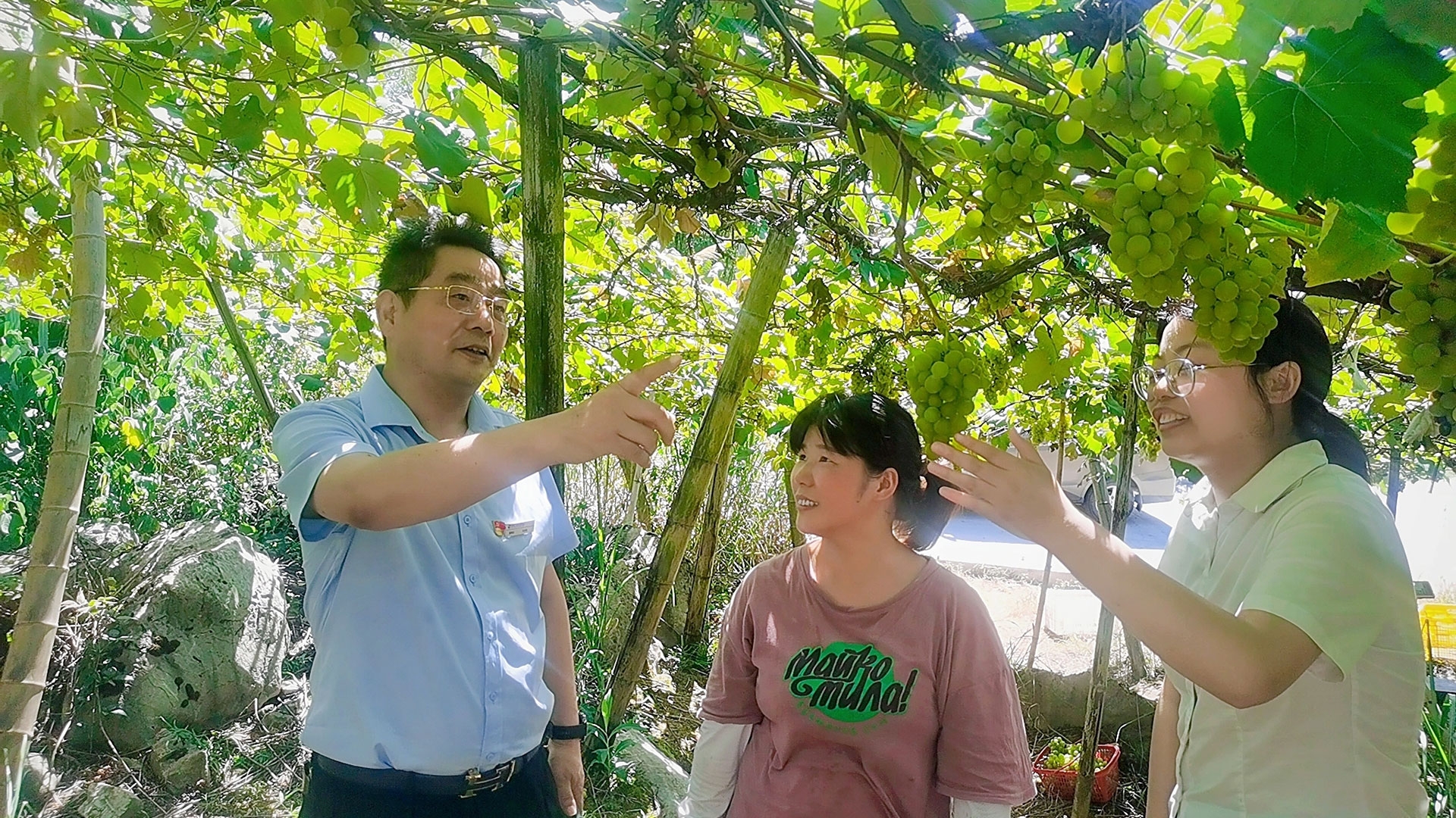 诚信 责任 创新 共赢