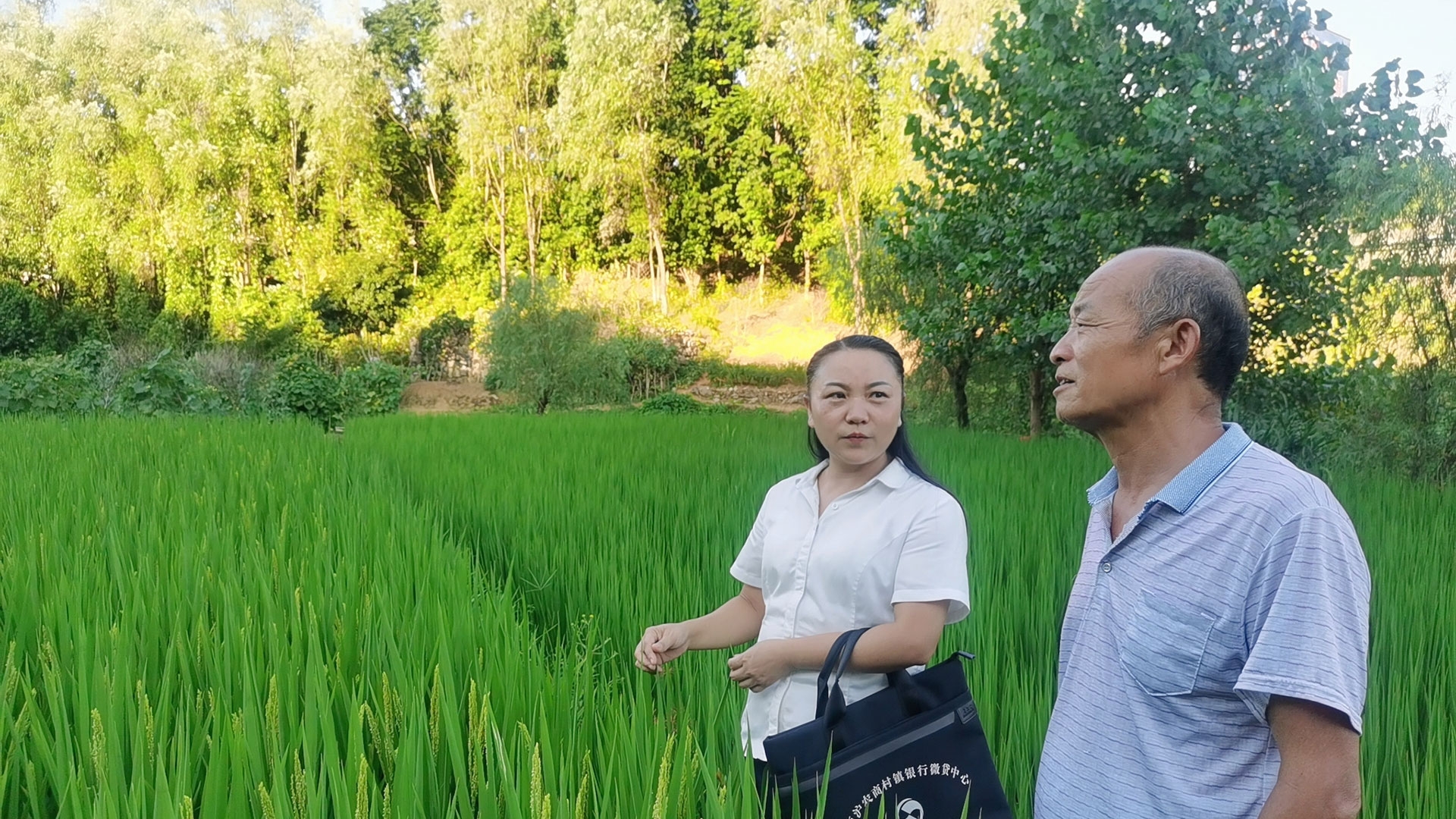 诚信 责任 创新 共赢